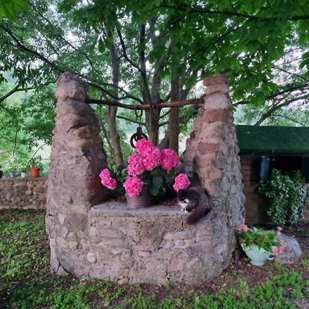וולטה מנטובנה Agriturismo Case In Collina מראה חיצוני תמונה